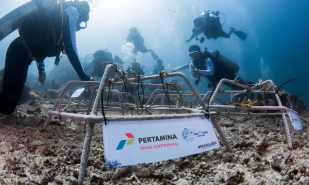 Pertamina Trans Kontinental Plants 512 Coral Fragments for Marine Conservation in North Sulawesi